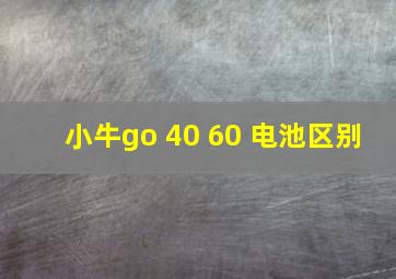 小牛go 40 60 电池区别